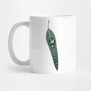 Leaf with Tropical Rain Drop Mug